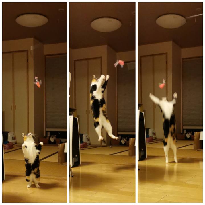 Aadfc16f 3824 47c5 aae3 fc60ab253da6 1646232175393