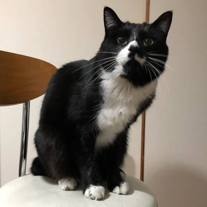 Aadfd85f 806d 4b4f 88d0 61a6d509f0b9 1609411504972