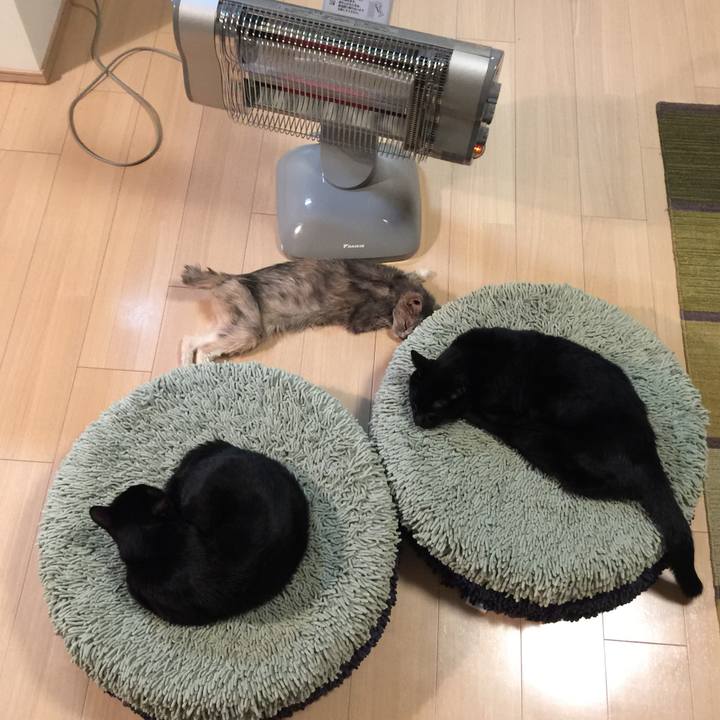 Aadfec8b 633f 4e9d bb85 bc624c5bc46b 1512479254566