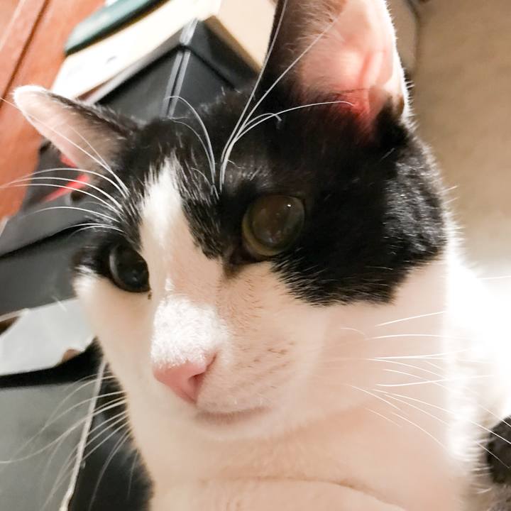 Aadff8fa df6d 483f 9181 184f5d72e1fd 1523630296837