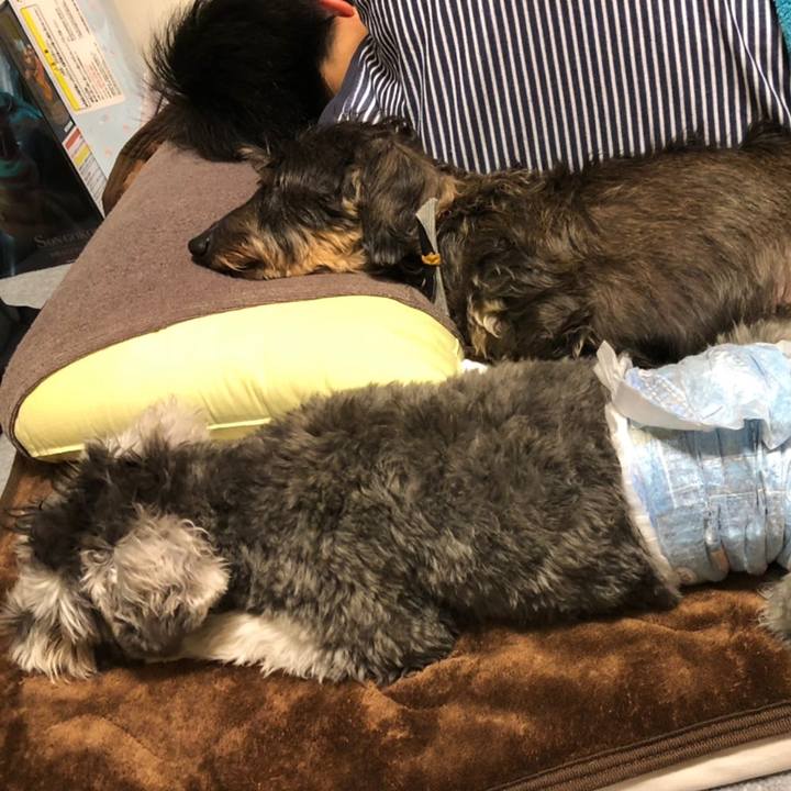 Aae01b3b 9579 4ad3 b42e bdc3ea2bcadd 1574063674603