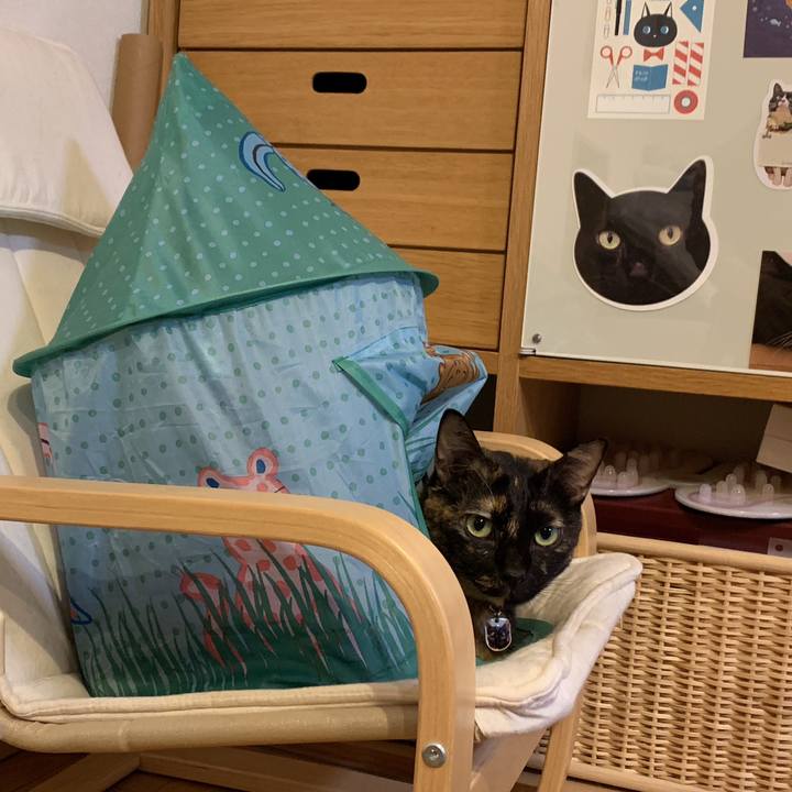 Aae03e1f 5fd6 4d7f 9dfc 9892fb2b3a90 1568985125569