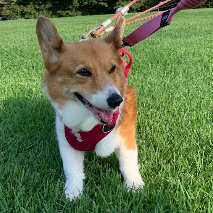 Aae042ff a6c9 448e 81e8 0dea6743bb9b 1725579941916