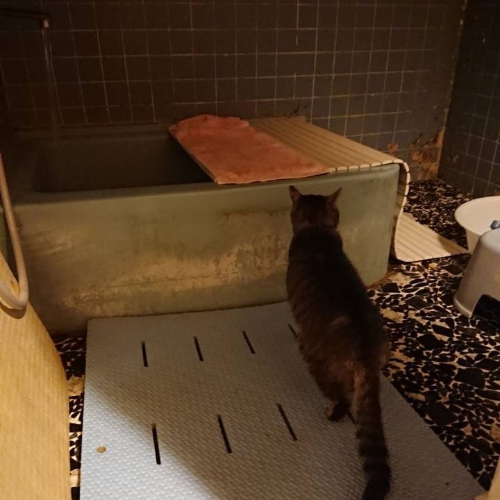 Aae0696e 93e3 4f77 8ccc 2fba1e3da8ab 1580980654877