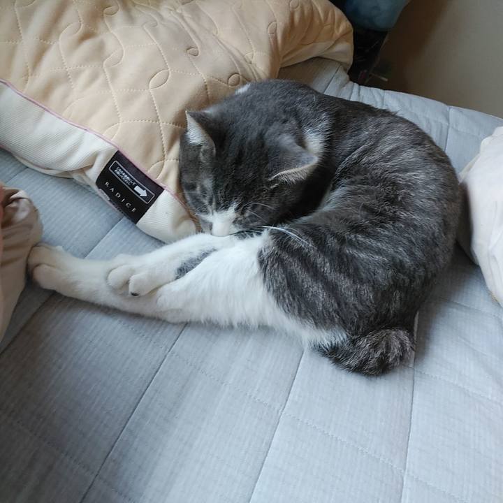 Aae09bb1 df9b 48eb 9492 3877bf1f2a4b 1586230056261