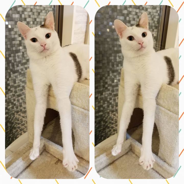 Aae0abcf 473f 4e67 a80b b899bc1989b8 1558009732811