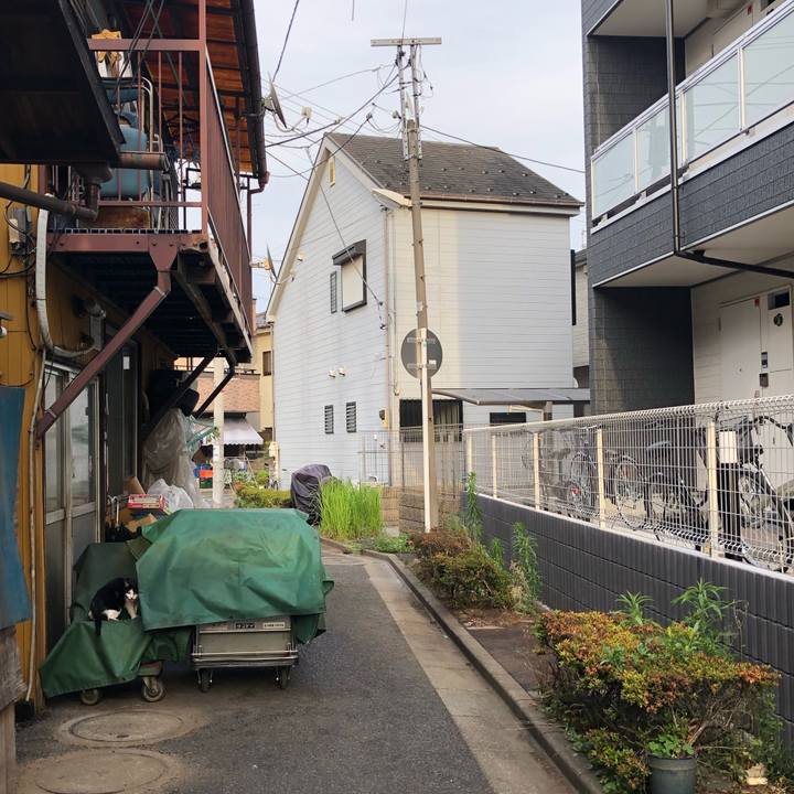 Aae11604 f68c 4600 8536 37e632bf3131 1560856555651