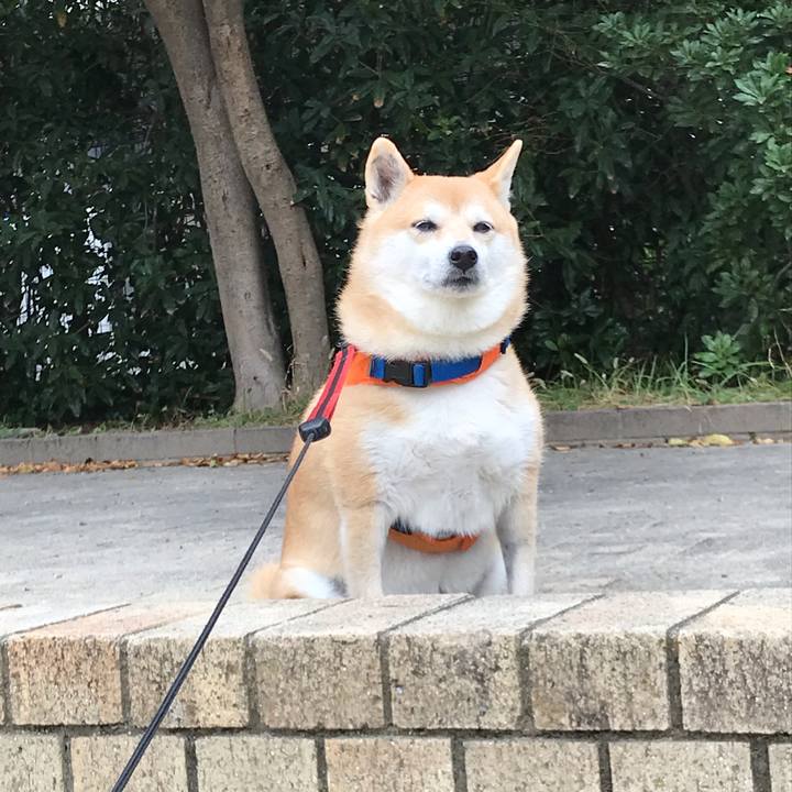 Aae17d49 9546 44a3 87b5 0c3e42abbb4e 1542197982585