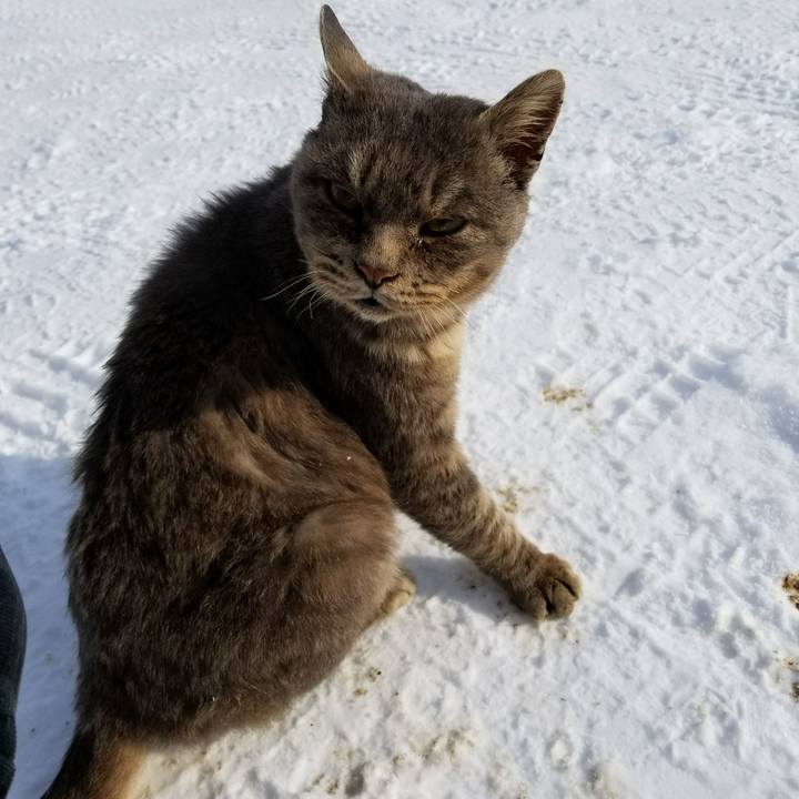 Aae180be ab69 4eb4 890c e3bea1c68576 1515985400343