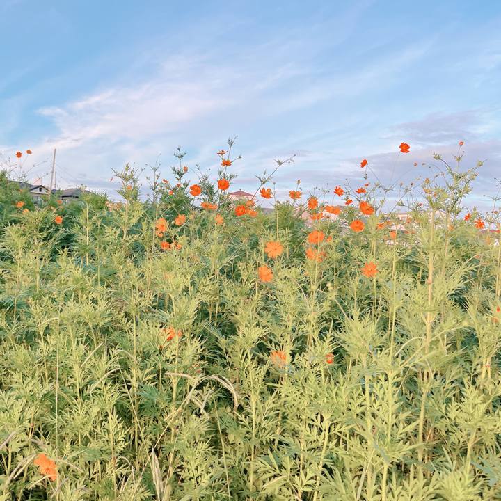 Aae1832f 202d 49d0 8bfe 929ce5924c28 1662975340198