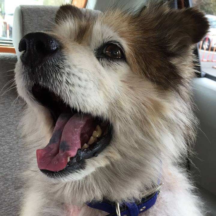 Aae23e2e 84c1 4ba6 9340 3120302097d4 1561634278067