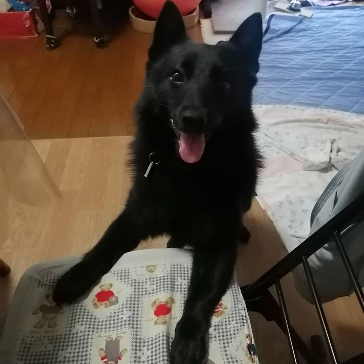 Aae243c5 d1a8 4b75 96ab 1187d0910ec5 1630103672035