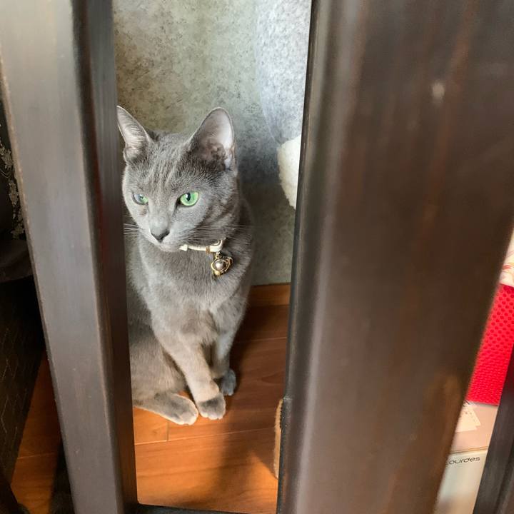 Aae25912 57c5 4d4d b5e9 2db11e124a05 1652864633705