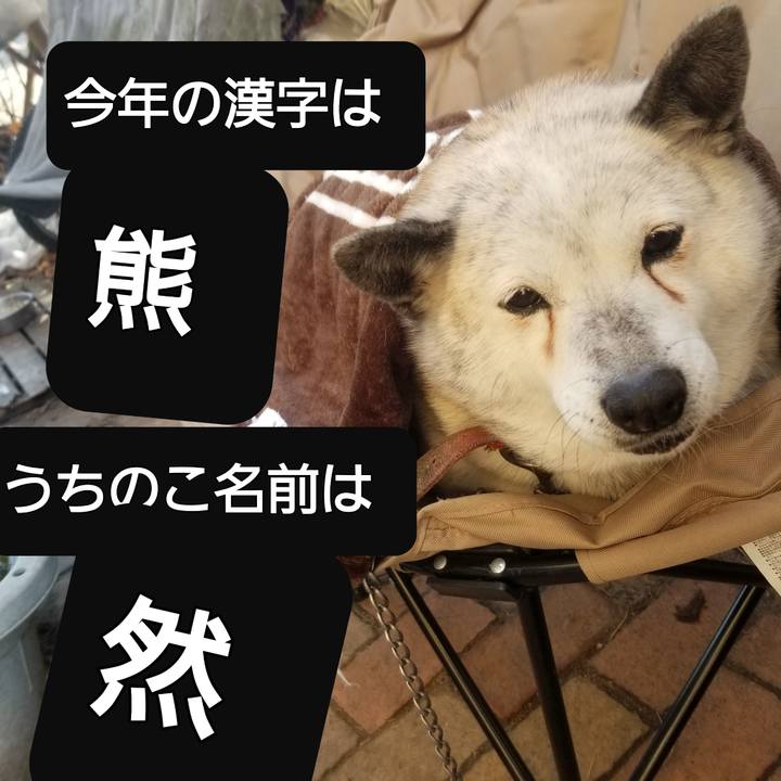 Aae2e76e 11af 43d9 be2e 75bff85a8678 1765624398530