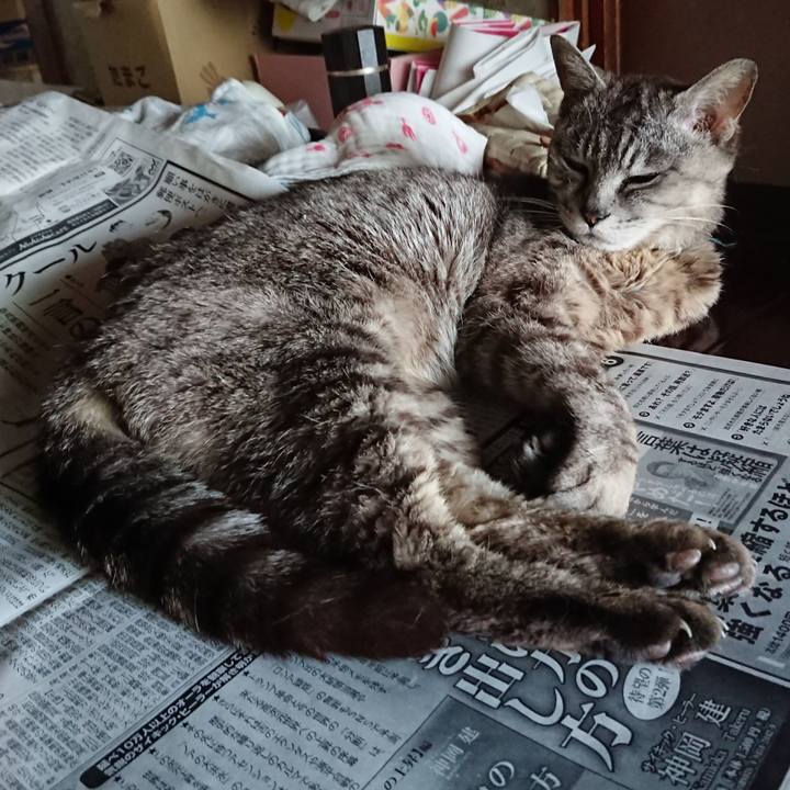 Aae2f926 492c 4b86 a1c0 e9752de70002 1564631387036