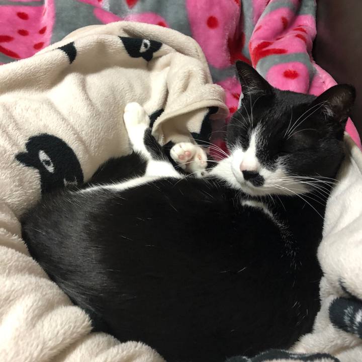 Aae30c7d fdf4 473d a482 6c6acade3f6e 1552482467805