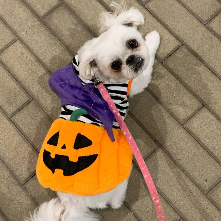 Aae311c3 712e 46f0 91f2 7e88ede5dae2 1698751843219