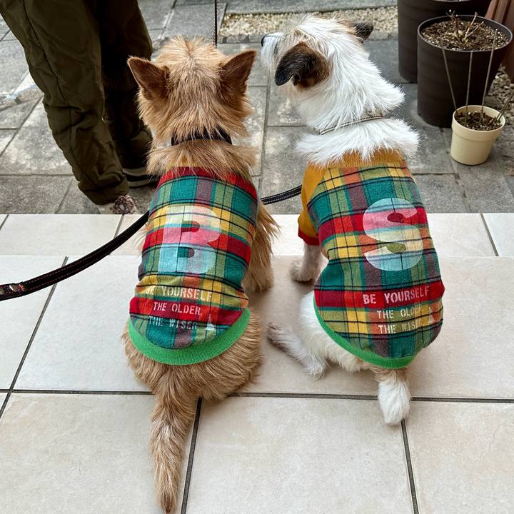 Aae399c9 668b 4250 87f1 ef7166a21c89 1767130880341