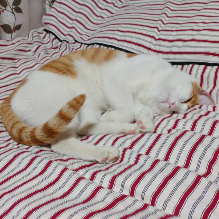 Aae399f2 bcb8 4e88 9660 1cce3098ebf6 1526989229097