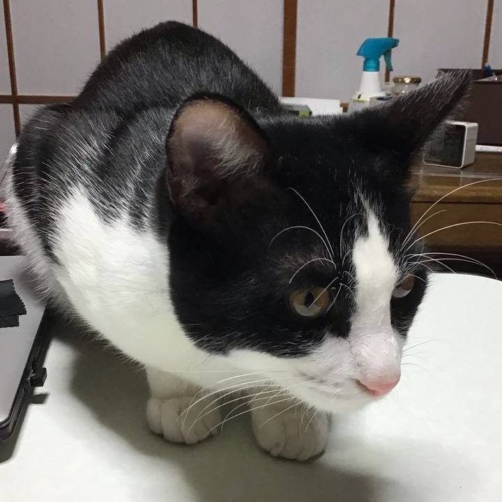 Aae3a339 f30c 4eaa 85a9 66ba247512df 1637054978813