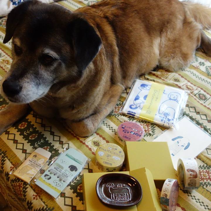 Aae417f9 d225 487a 8cc6 19451967da11 1556535407442