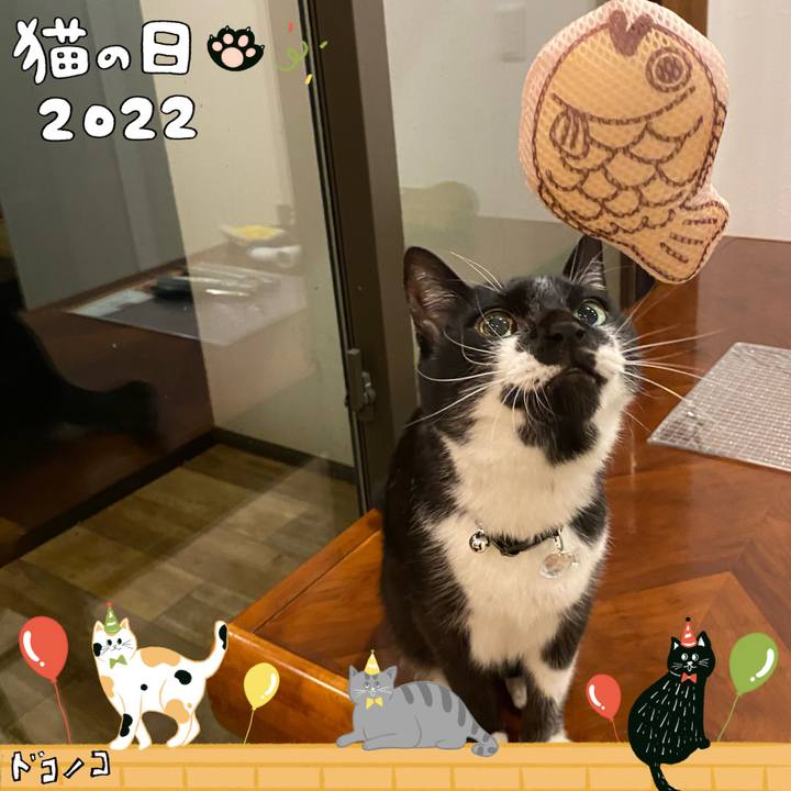 Aae441f0 8ded 49ab b2dd 81c88d32ae5d 1645496138262