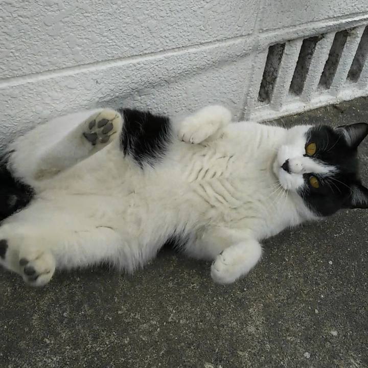 Aae44e4d 40c3 4273 8ee6 ad727efc36c4 1549163437574