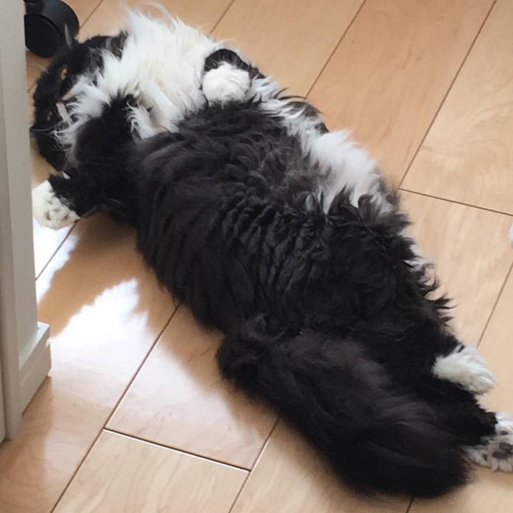 Aae47355 f316 4911 bab9 f27044dbd588 1531986753349