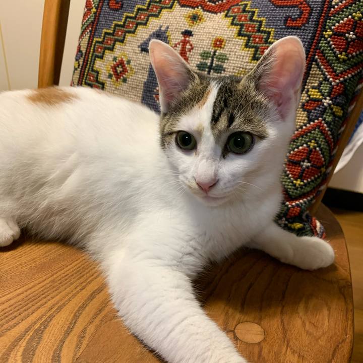 Aae48412 fc8c 4a4e 8aea 27cfc33e4824 1600429310613