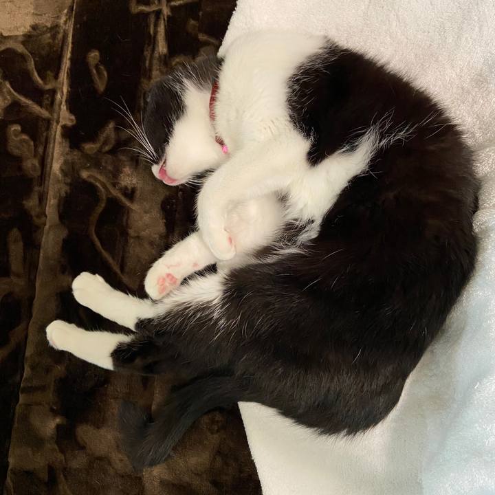 Aae49283 e7b0 48e1 ae1e c5b80270a754 1603074002007