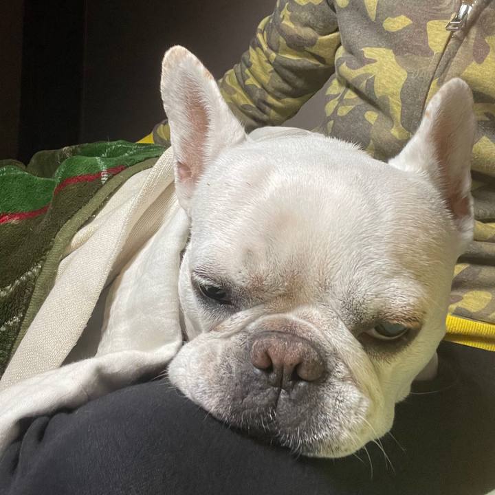 Aae4a6ea 4b9d 485d b9d3 c23df53c5ac0 1731064583430