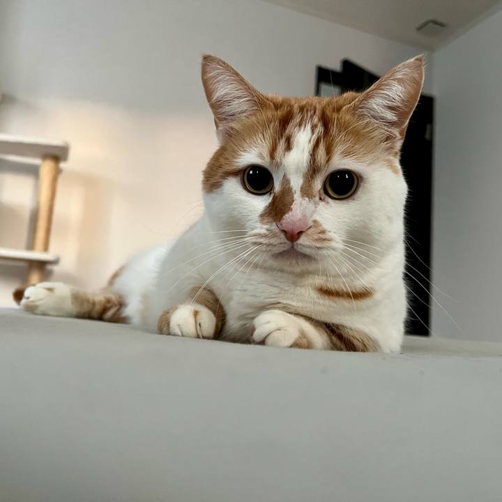 Aae4b65f e53f 45c7 9828 86e2967e1280 1770348060084