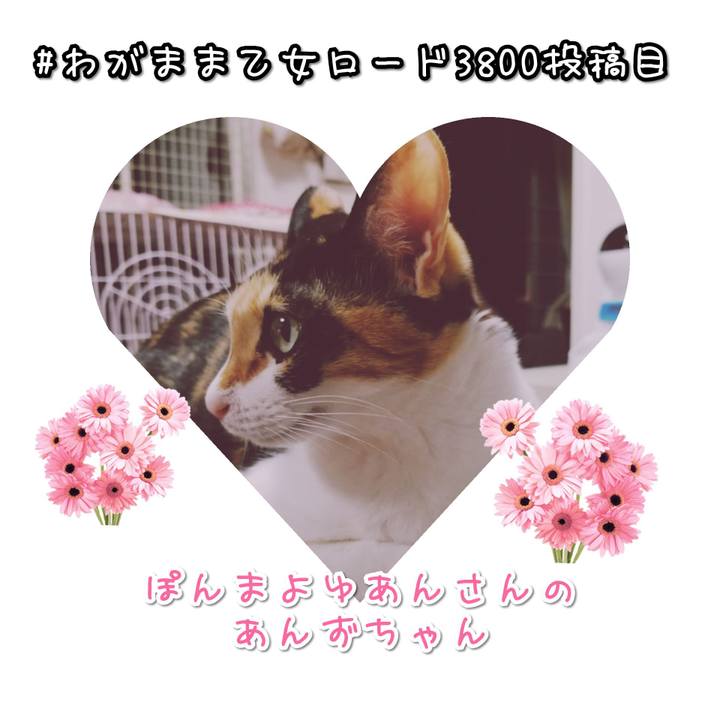 Aae4d418 65c0 4263 84de f0915e5d1938 1591797529666