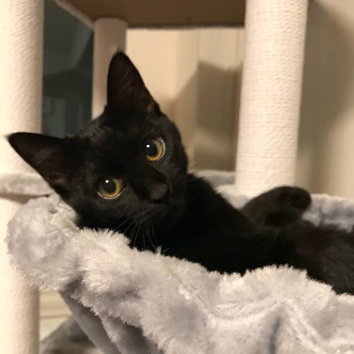 Aae4d61e 4b4f 49ad b748 4ffe3ea3dc14 1668052937051