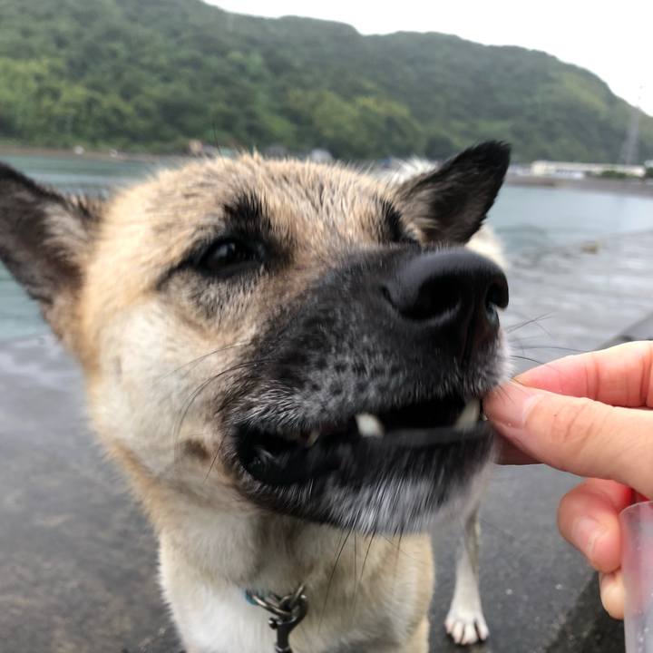 Aae4edc5 6a97 4400 8f32 65d604af9989 1536456159123