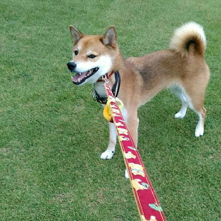 Aae500e5 a787 4b03 b47d 572b846248ab 1567150540584