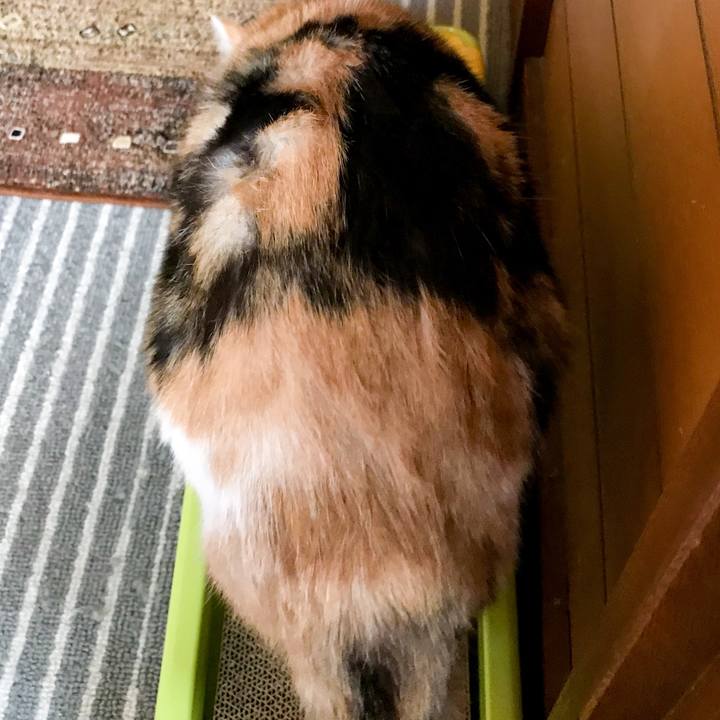 Aae50403 a1ce 4858 9a30 7cac15655509 1517496510156