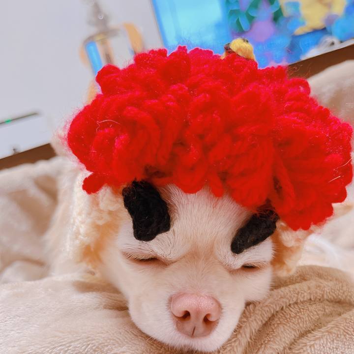 Aae509eb 340e 474e 843e e37d4d181f6f 1675339602015