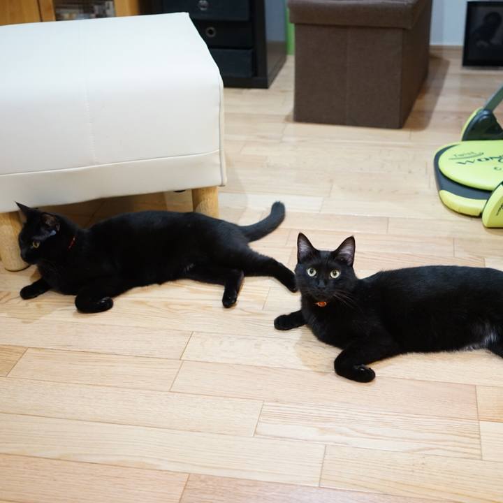 Aae530ce 8f11 4c8d 8eda 7fcfc8996c83 1538965392865