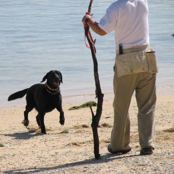 Aae5984c 8971 44b7 a06f a3e464d3f1b3 1559119229712