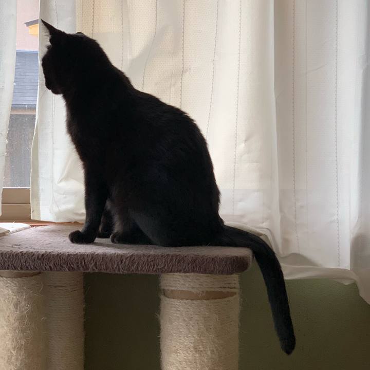 Aae59a3e 9552 4b71 8e96 07ce53df6b5f 1564011933571