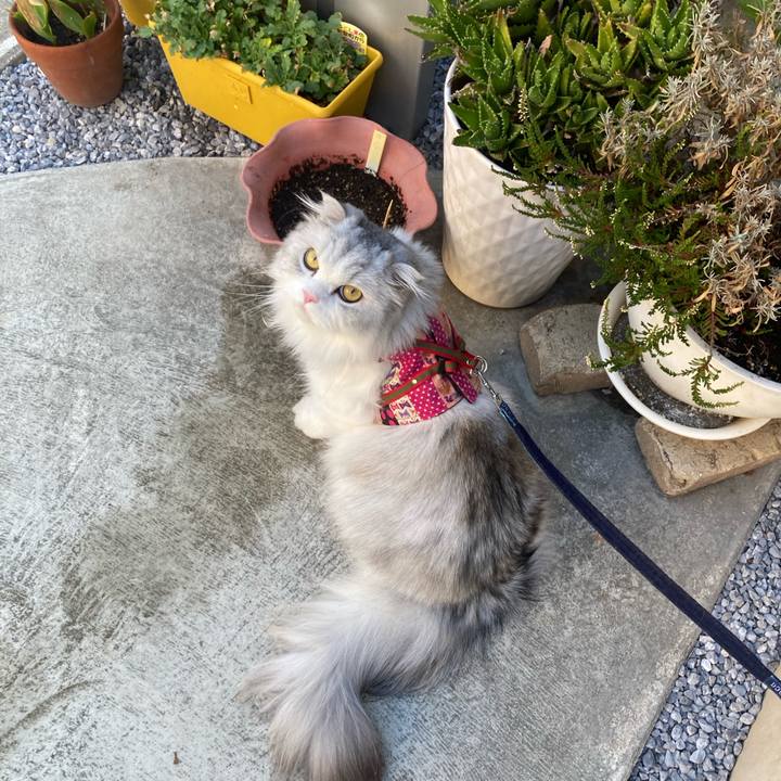 Aae5b0cd f97d 48eb a372 2ecbdb8538a4 1691401712737