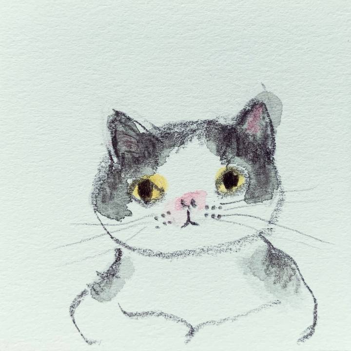 Aae5ce43 9efe 4130 ae5d 94092c1d6a95 1630447809758