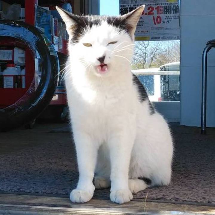 Aae5d01d b68c 4708 8616 cbb4da80c195 1613456879316