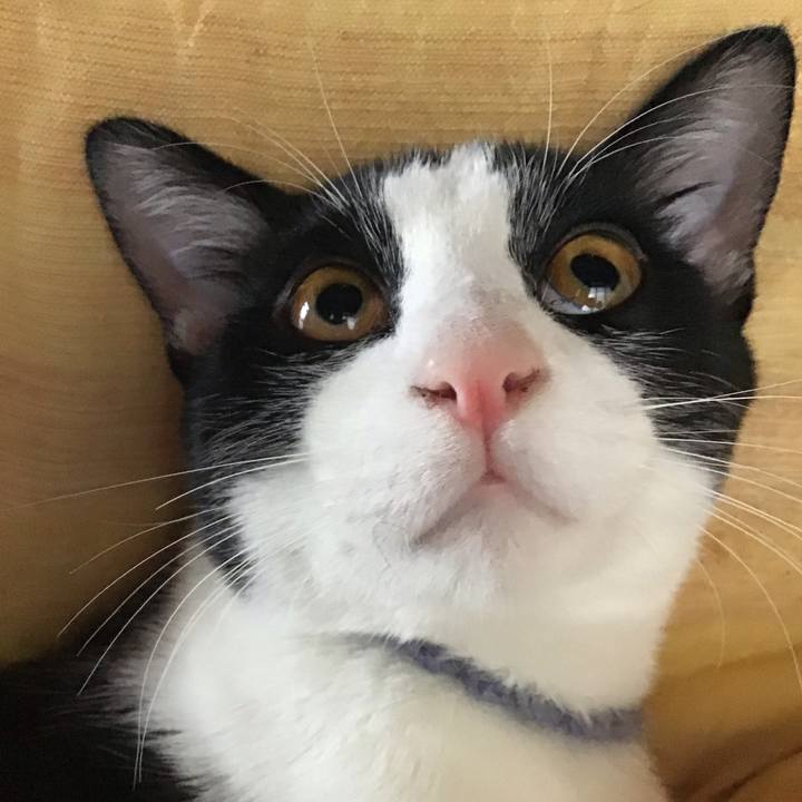 Aae5eac2 8234 4c09 8b06 4327cd87cc5e 1638837879546