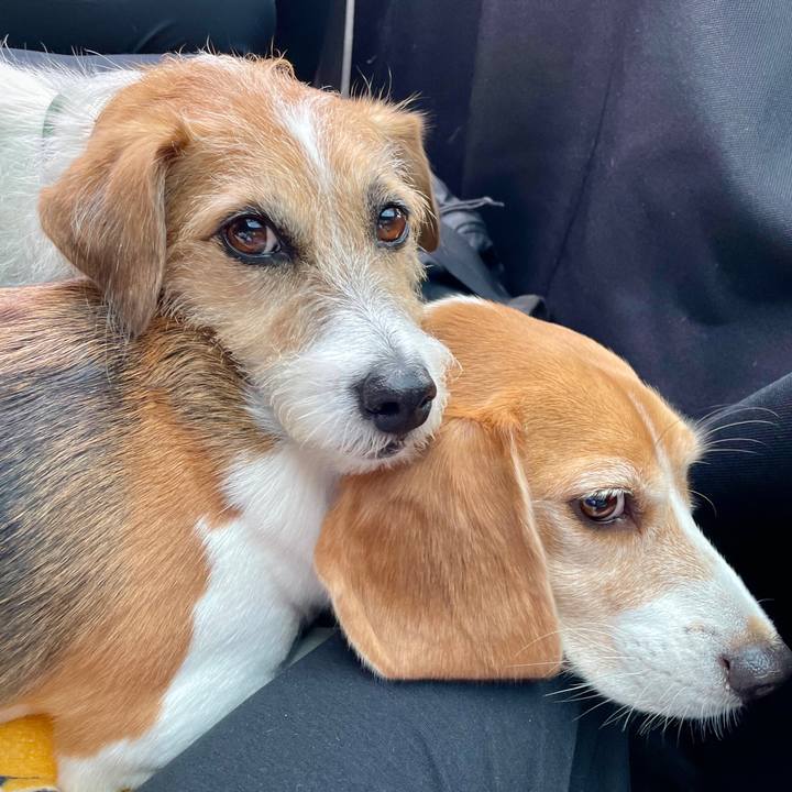 Aae5efeb de55 46fb a590 cf6a294af3f1 1696860797978