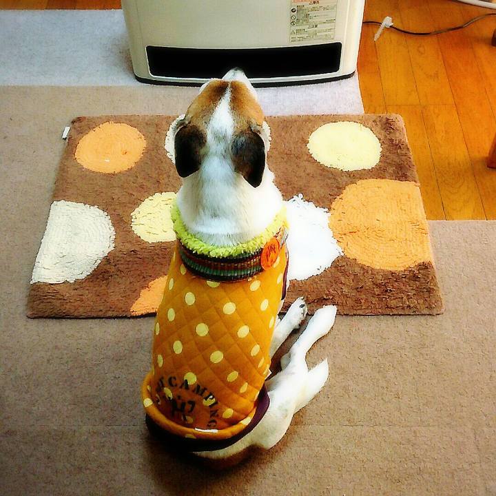 Aae5f260 2a24 4c61 aaa1 1d8a77ef93e4 1512868552489