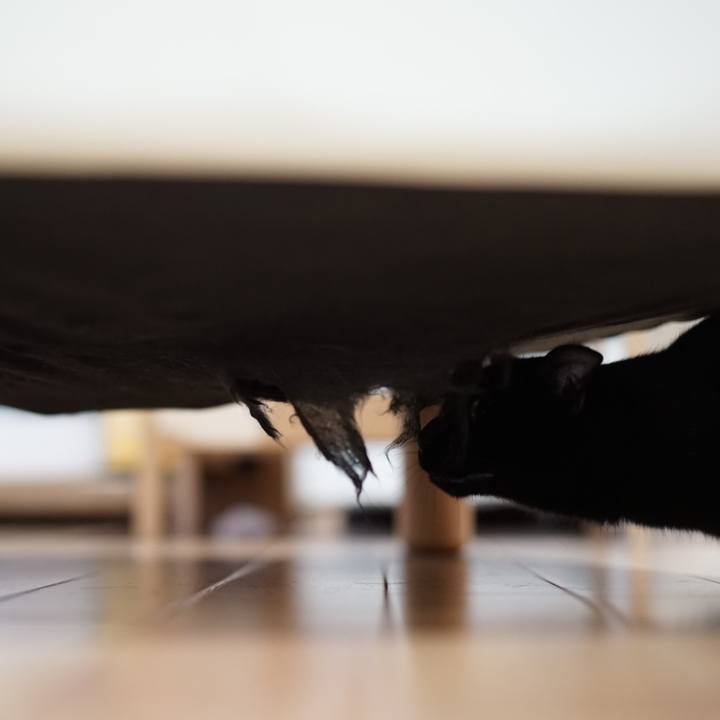 Aae60ba6 bbfc 4af8 915b 2e17526f14b7 1557790388910