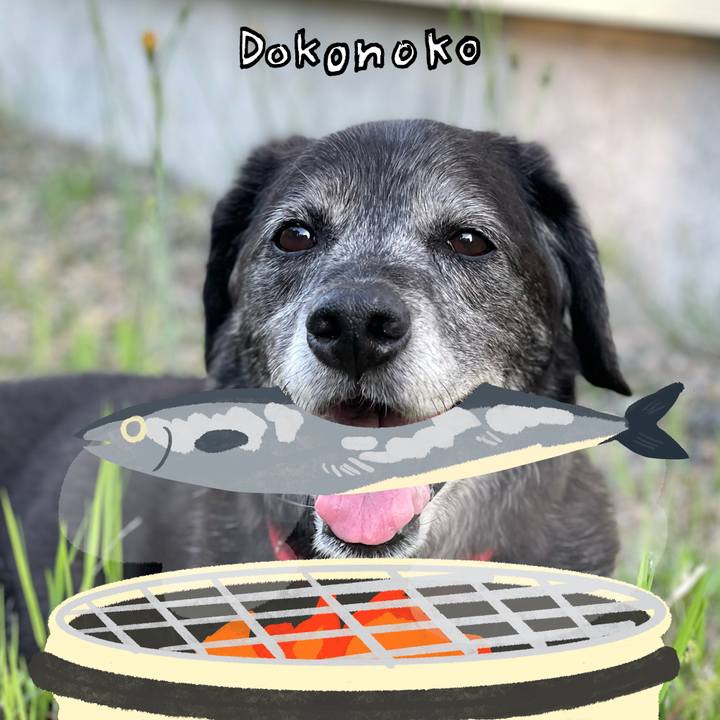 Aae62f2d fcfe 4bb9 9727 dc6d37216111 1761125701783