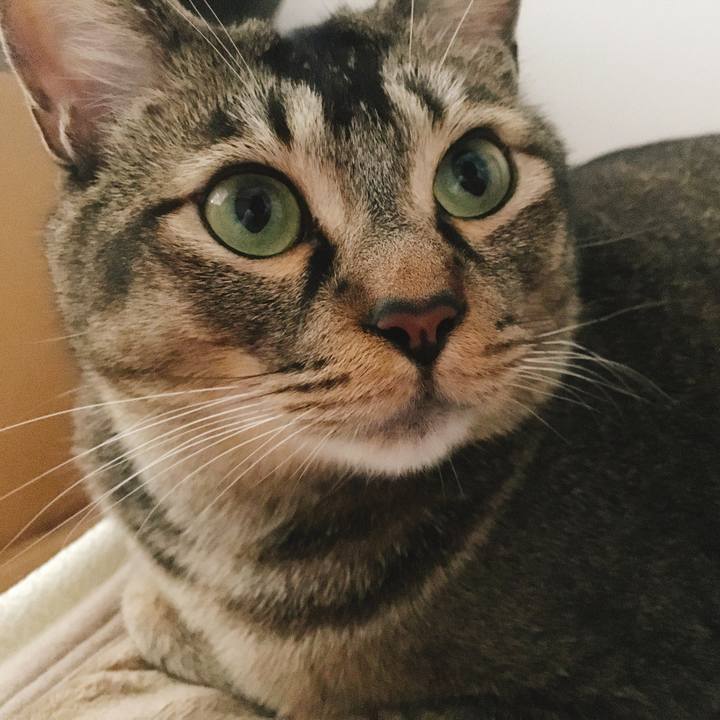 Aae657a3 7fd2 428a 9317 dc1de638dac7 1555124339149